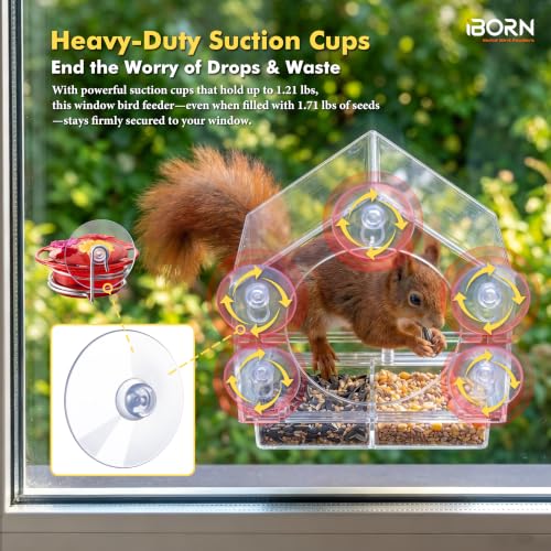 Window Hummingbird Feeder with Strong Suction Cup, BPA-Free 3.4OZ, Red 3 PK | Bee-Proof, 3 Feeding Ports, Twist-Off Lid, Easy Cleaning, Height-Adjustable, Durable for Outdoor - style: Window Hummingbird Feeder 3.4oz,3 Set