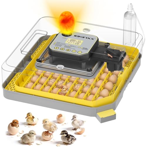 IBKINXX Incubator for Hatching Eggs-48 Egg Capacity, 2026 Newly Upraded Auto Egg Turner & Auto Precision Humidity Control System, 360° Clear Viewing for Chicken, Duck and Quail Eggs (Yellow) | Automatic Temp & Humidity Control, Auto Egg Turning & Built-in
