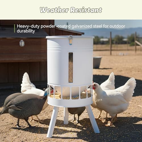 KOL 50LB Chicken Feeder & 3 Gallon Chicken Waterer Set, All-Metal 16 Port Feeder + 8 Cup Auto Waterer, No Waste, Weatherproof Poultry Feeding System Chicken Coop Accessories