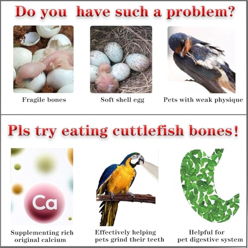 3.9-4.5'' Cuttlebone for Parakeets Cuttlebone for Birds - 100% Natural Cuttlefish Bone Bulk Chew Toy Bird Bites Calcium Stone for Canaries Tortoises,Snails,Reptiles,Parrots,Cockatiel-30PCS - size: 30PCS