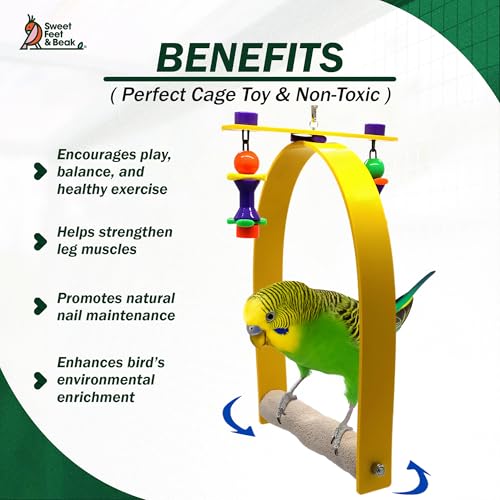 Sweet Feet and Beak Whirly Bird Swing, X-Large Indoor Pedicure Perch - size: X Large