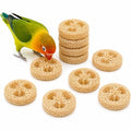 Parrot Shredding Chew Foraging Toys, 10pcs Loofah Chewing Parrot Toys, Bird Cage Shredder Toy, Bird Toy for African Grey Macaws Cockatoos Cockatiel Conure (10 Loofah Slices)