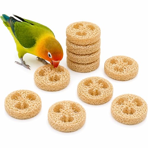 Parrot Shredding Chew Foraging Toys, 10pcs Loofah Chewing Parrot Toys, Bird Cage Shredder Toy, Bird Toy for African Grey Macaws Cockatoos Cockatiel Conure (10 Loofah Slices)
