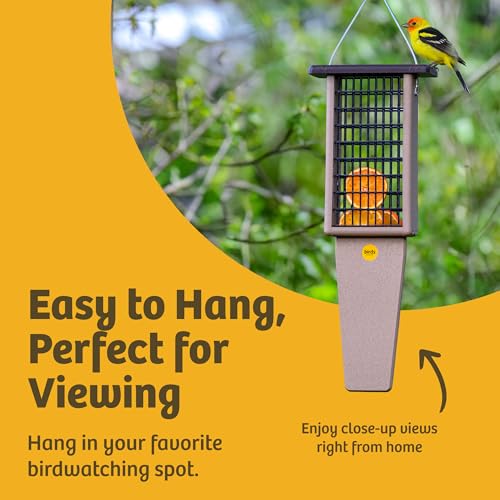 Birds Choice Pileated Suet Feeder with Tail Prop, Holds 2 Suet Cakes | Hanging Suet Bird Feeder for Woodpeckers, Jays, Nuthatches | Sturdy for Garden & Backyard | Taupe & Green, 8" L x 3" W x 22.5" H | Hanging Feeder for Woodpeckers, Jays and Nuthatches,
