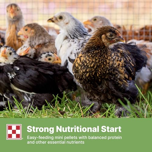 Purina® Farm to Flock™ 18% Grower Chick Food, 25 Pound Bag