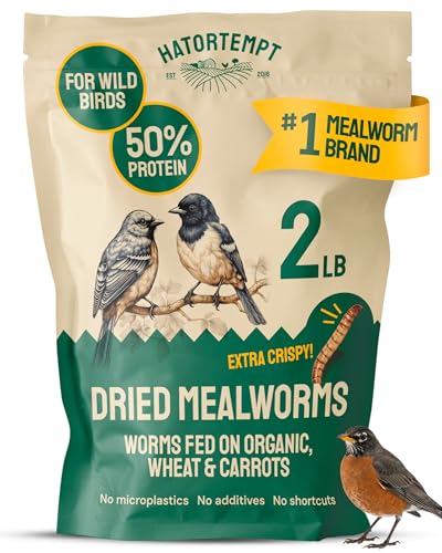 Hatortempt 2lb Dried Mealworms for Chickens, Birds, High Protein Bird Feed | High-Protein Wild Bird Food - Organic Diet Meal Worms - Hand Inspected Treats for Blue Birds, Robin, Ducks - 2 Yr Shelf Life - size: 2 Pound (Pack of 1)