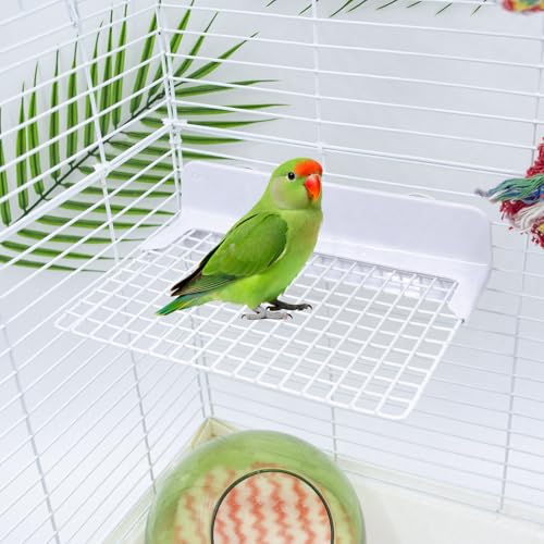 Bird Accessories for Cages, Iron Wire Standing Platform with Installation Accessories for Cage, Parrot Perch for Budgies, Cockatiels, Lovebirds, Green Cheeks, Small to Medium Birds