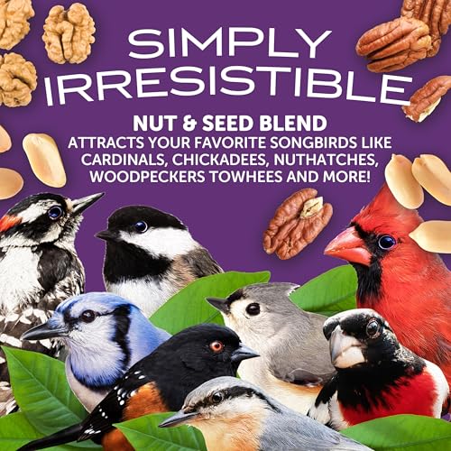 Pennington Ultra Double Nut, Nut & Fruit Blend 10lbs | Fruit and nut bird seed, mixed nuts and real fruit, compatible with tube, hopper, platform and gazebo feeders