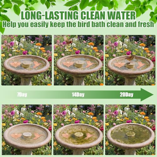 4 Pack Pure Copper Disk for Bird Bath Water Cleaner,Bee | Triple-point Support, Outdoor Bowl Purification, Algae Prevention Safe, Pure Copper Discs, Flower Petal Design Shapes - size: Bee