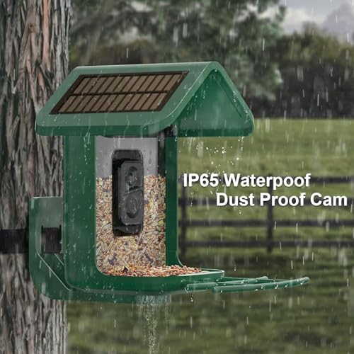 Bird Feeder with Camera Solar Powered : Smart Camera Bird Feeder 2K Live Feed Cam for Backyard - AI Identify Auto Capture Videos Pictures, Gifts for Birdlover Mom Dad, 2.4GHz WiFi - color: Green