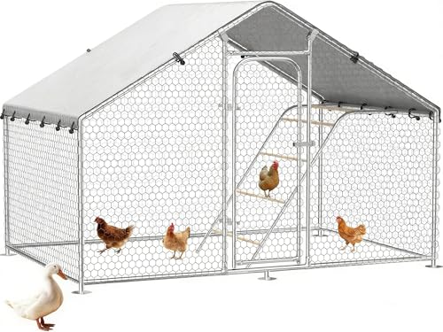 Large Metal Chicken Coop Run with Roosting Perch | Spire roof walk-in chicken cage with waterproof UV-resistant cover, 10' W x 4.9' L x 6.4' H enclosure - size: 59.9"L x 118.0"W x 78.0"H