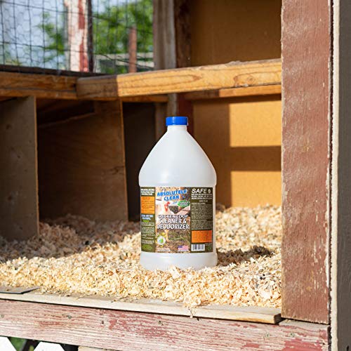 Absolutely Clean Chicken Coop Cleaner and Deodorizer, Veterinarian Approved, Powerful, Natural Enzyme Cleaner Safely Eliminate Tough Messes and Odors, Made in Colorado - style: 1 Gallon (Pack of 1)