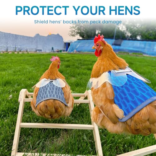MYWSN Chicken Saddle with Wing Protector - Chicken Aprons for Hen | Polyester lightweight chicken apron prevents feather pecking & scratches; adjustable hidden straps stay secure