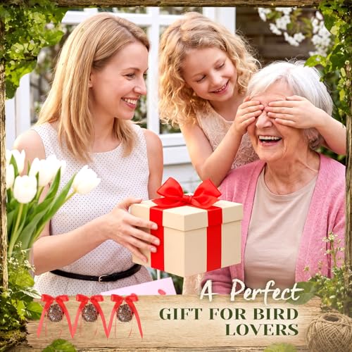 Hummingbird Nesters, 3 Pack Bird Nesting Material Holder with Bow, Refillable Hummingbird Nesting Balls for Wild Birds Finch Wren Garden Outdoor Gift Decoration