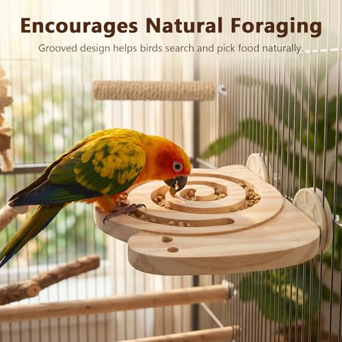 Bird Foraging Toys with Perch, Visible Slow Feeder Wooden Puzzle, Winding Grooves Help Reduce Mess, No Glue & No Exposed Screws, Include Extra Chew Perch for Novice/Older Birds