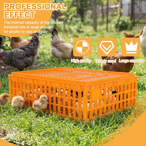 6pcs Chicken Carrier Chicken Transport Cage Crate with Sliding Door 29.5x21.6x10.6inch Chick Boxes for Transport Bird Travel Carrier for Poultry Bird Duck Goose (Carton Delivery)