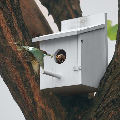 Bird House for Outside,Bluebird House,Outdoor Wooden Hanging Birdhouses Finch Wren Cardinals Garden Nesting Box - color: White