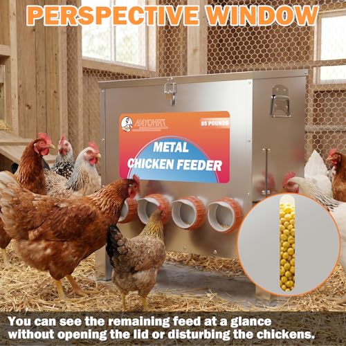 85LBS of Feed Chicken Feeder No Waste 10-Ports Automatic Large Poultry Feeder with Adjustable Legs Perspective Window Latch & Handle for Chickens Bantams Pheasants - size: 10 Ports - 85-120 LBS