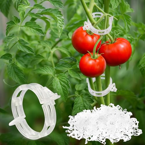 300PCS Plant Support Clips, Reusable Tomato Clips for Climbing Plants | Secured Plastic Tomato Plant Clips Garden Trellis Clips Plant Fixing Clips for Tomato Grape Cucumber Vine