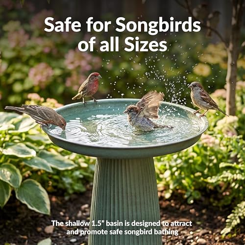 Sunnydaze Modern Bird Bath for Outside, Iron, 23” H, Matte Green | UV & Rust-Resistant Matte Finish, Durable Iron,1 Gal Water Cap, Outdoor Birdbath for Garden, Pedestal Bird Bath with Bowl - color: Matte Green