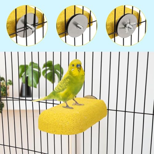Hypeety Bird Beak Grinding Stone Cage Calcium Mineral Paw Grinding Block | Natural calcium stone, provides calcium and beak care, durable chew-proof, for parrot/chinchilla/hamster, 1pc, random color - color: Perch Stand
