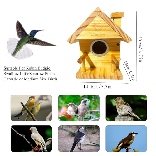 Bird Houses for Outside, Bird House Clearance with Metal Predator Guard for Bluebird Wren Swallow Finch, Cedar Wooden Hanging Birdhouse for Outdoor Garden, Lacquer Finished