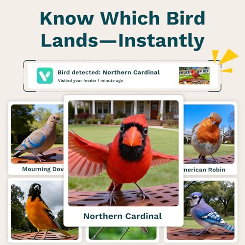 Smart Bird Feeder with Camera Solar Powered 2K UHD Video | AI Identification 10,000+ Bird Live Instant Arrival Alerts and Real-Time Motion Detection Weatherproof Bamboo for Outdoor - color: Dark Brown
