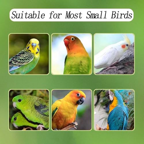 No Mess Bird Feeder for Cage, Automatic Acrylic No Mess Bird Feeder Cage | Suitable for Parrots Canary Parakeet Budgerigar Crested Myna Cockatiel Lovebird (Large) - size: Large