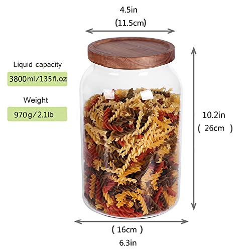 LEAVES AND TREES Y 1 Gallon Glass Jar with Airtight Lid and Anti-Skid Bottom for Dry Food Storage