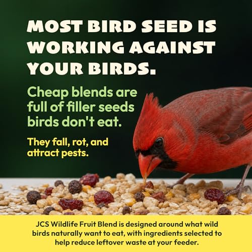 JCs Wildlife No Mess No Waste Fruit Blend Bird Seed Cylinder with Hole, Hull Free Wild Bird Food for Outside Feeders, Cardinals Woodpeckers Chickadees Nuthatches Wrens, Made in the USA, 2 lb Pack of 1 - size: 2 Pound (Pack of 1)