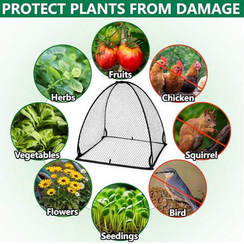 DECOHS 2 Pcs Pop-Up Mesh Plant Cover Tent, 30 x 28 x 28 Inch Garden Net Cage Guard Cover, Plant Protector Enclosure with 12 Ground Stakes for Protecting Plants Vegetable Fruit from Birds Insects - color: 30 x 28 x 28 inch
