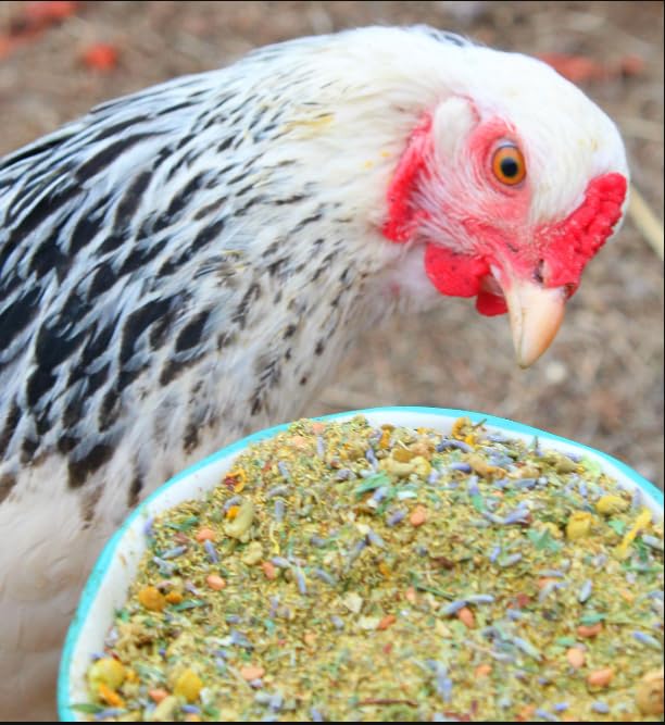 Pampered Chicken Mama Nesting Herbs for Backyard Chickens 8 pounds - Scent of Spring - Keep Laying Hens Happy, Healthy and Relaxed - size: 8 Pound (Pack of 1)
