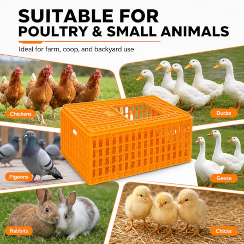 4 Pcs Poultry Carrier Crates, 29 x 21 x 13 in | Sturdy ventilated plastic transport boxes for chickens, ducks, geese, birds, farms, backyard coops, and hatcheries