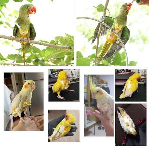 QBLEEV Bird Diaper Flight Suite, Reusable Parrot Nappy Cockatiel Clothes | Soft & waterproof inner layer, cute pigeon pants urine wet suit costume for conure macaw african budgies sun parakeet - color: Rabbit, size: L