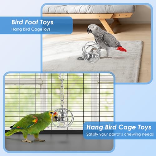 DBNESS Heavy-Duty Stainless Steel Bird Toy for Parrots, Durable Hollow Foraging Ball with Detachable Chain, Chew-Proof Parakeet Training Toys for Macaws, Amazons, Eclectus, African Greys, Cockatoos