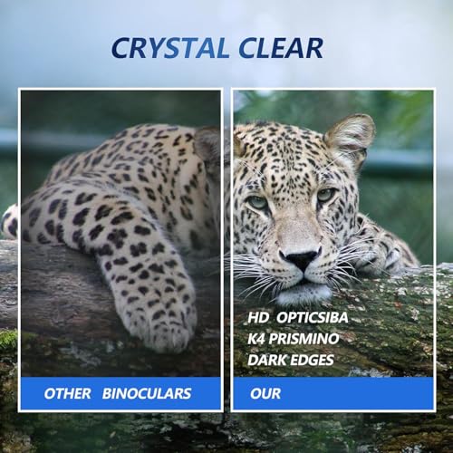 Digital Binoculars with 40MP Camera, (Silver) | 10x Optical & 8X Digital Zoom, 2.5K HD Video, Ideal for Bird Watching, Concerts & Outdoor Adventures