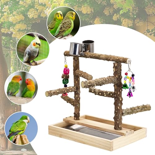 BNOSDM Natural Wood Bird Playground for Training & Playing, Parrot Perch Stand Jungle Gym with Detachable Tray & Stainless Feeder Cups Parakeet Cage Playstand for Budgie, Cockatiel, African Grey - color: Double Column Bird Stand