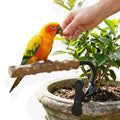 Bird Perch Stand with Clip, Adjustable Clip-On & Portable Parrot Stand, Natural Wood Bird Perch Training Stand for Cockatiels, Conures, Lovebirds and Medium & Small Parrots