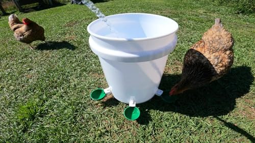 Hen's Choice™ - Large Automatic Chicken Waterer Cups, Poultry Water Kit (Green, 12) - color: Green, size: 12