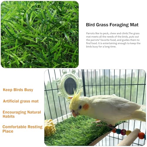 2Pcs Stainless Steel Bird Perch Platform, 7.9 x 6 in,with Soft Pads and Rotating Toy, Flat Mesh Resting Stand for Budgies, Parakeets, Cockatiels, Small and Medium Parrots - color: 7.9x 5.2Inches-2StainlessSteelwithSoftPads