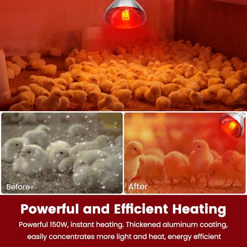 DaToo Infrared Heat Lamp Bulb for Chickens Red Heat Lamp Flood Light Heat Lamp Bulb 150 W Heating Bulbs for Brooder Coops Pets Chicks Reptiles Food Service (2 Pack) - size: 2 Pack