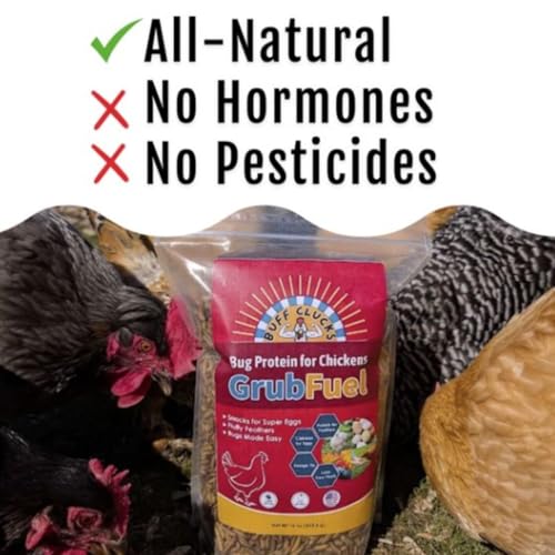Buff Clucks Grub Fuel Black Soldier Fly Larvae for Chickens, Chick Feed 5lb | Chicken Snack for Poultry, Chicken Treats for Laying Hens, Dried BSFL Rich in Protein, Calcium, Fiber, Essential Fatty Acids - size: 5 Pound (Pack of 1)