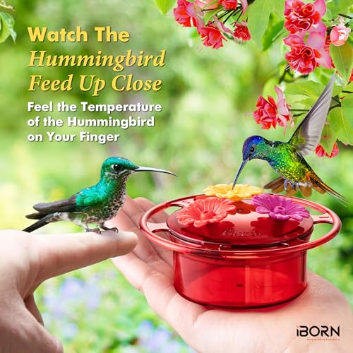 iBorn Handheld Hummingbird Feeders for Outdoors, Hummingbird Hand Feeder 3OZ Mini Bird Feeders for Outdoors, 3 Bee Guard Feeding Ports, Silicone Flower, Red (Set of 2) - style: Handheld 3oz,2 Set