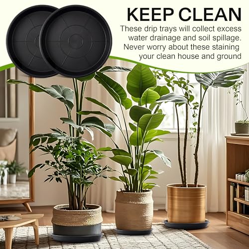 3 Pack Plastic Bird Bath Bowl, 14”Ground Bird Baths for Outdoor(Black） | Large Durable Birds Bath Dish for Garden Yard, Birds Water Bowl Feeder Tray Replacement, Weather Resistant ABS Plastic - color: Black