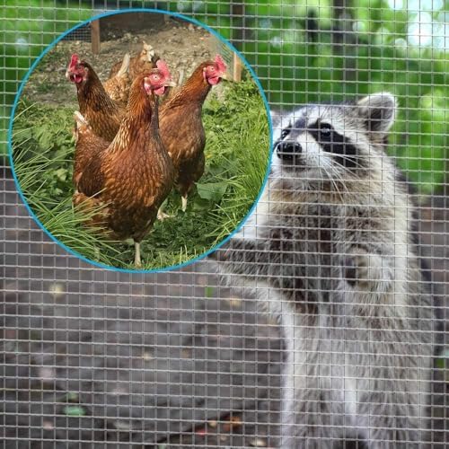 Amagabeli Galvanized Hardware Cloth 1/4 inch 48 x 50 ft 23 Gauge Chicken Wire Fence Welded Wire Mesh Roll Plant Supports Poultry Netting Garden Bed Animal Cage Snake Rabbit Gopher Rodent Proof - size: 1/4" 48"x50'