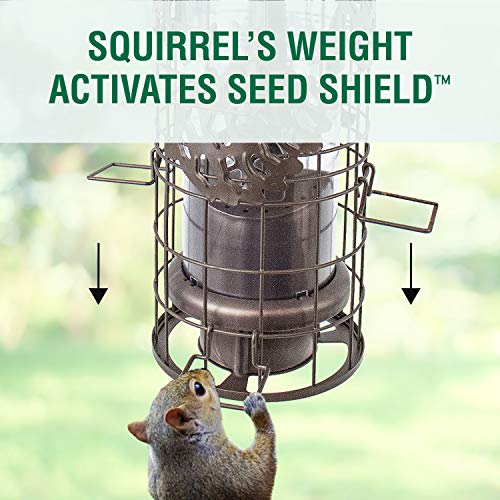 Perky-Pet Squirrel-Be-Gone Max Pinecone Bird Feeder with Flexports – 1.75 lb Capacity