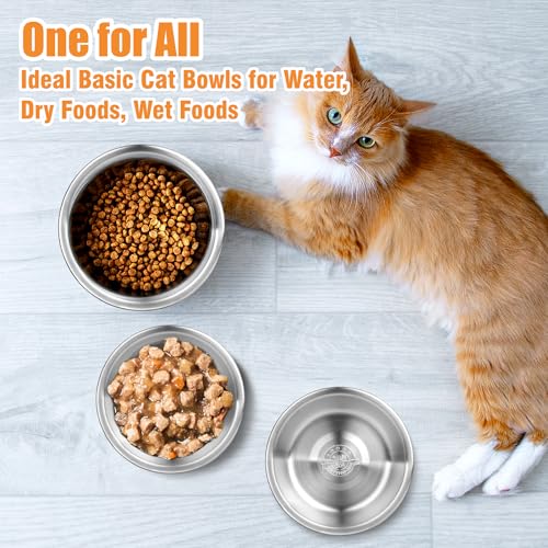 6 Pcs Stainless Steel Cat Bowls, Metal Shallow Cat Bowls Whisker Friendly | 5.5Inch Shallow Wide Cat Food Dishes, Replacement Basic Cat Plates