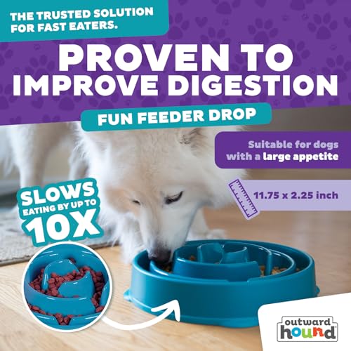 Outward Hound Fun Feeder Slo Bowl – Large 4‑Cup Capacity,Slow Feeding,Medium to Large Dogs,Non‑Slip,Turquoise,Drop Pattern,(Pack of 6) - color: Turquoise, size: Large (Pack of 6)