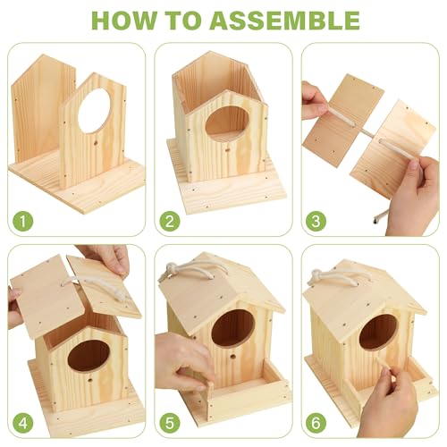 LotFancy Bird House Kit, DIY Wooden Birdhouse Kits, Arts and Crafts Painting Kits for Kids Ages 4+, Build and Paint, Including Paints & Brushes - style: Build a Bird House