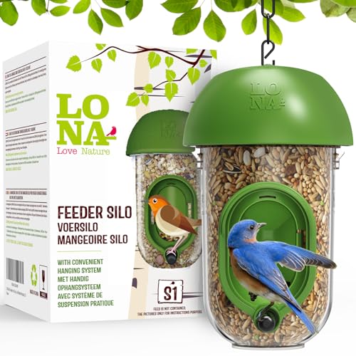 ‌LONA 1Pack Tube Bird Feeders, Weatherproof Design with 1 Feeding Port | Easy-fill Top Design, 2 Ways for Hanging, Suits Mixed Seeds, Squirrel-Proof Bird Feeder for Backyard/ Garden/ Patio, Green - size: 1 Port